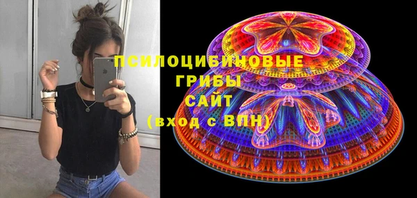 марки lsd Бородино