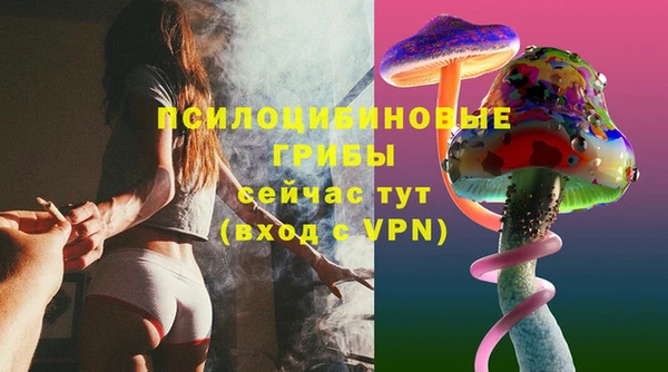 марки lsd Бородино