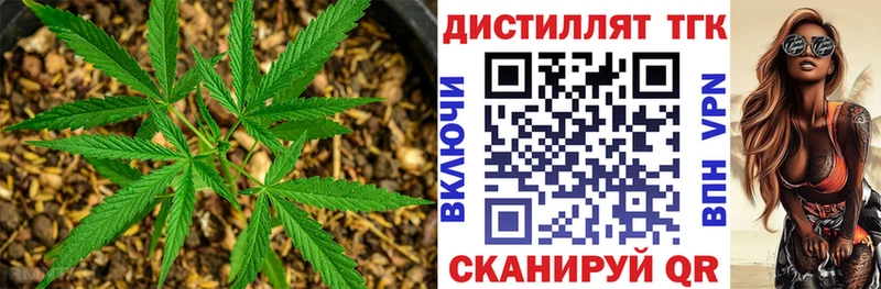 мега tor  где можно купить наркотик  Верхний Тагил  ТГК Wax 