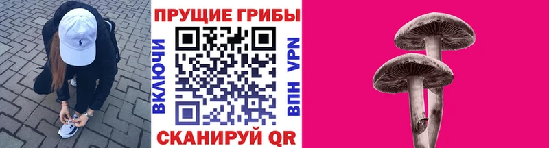 Псилоцибиновые грибы Psilocybine cubensis  Верхний Тагил 